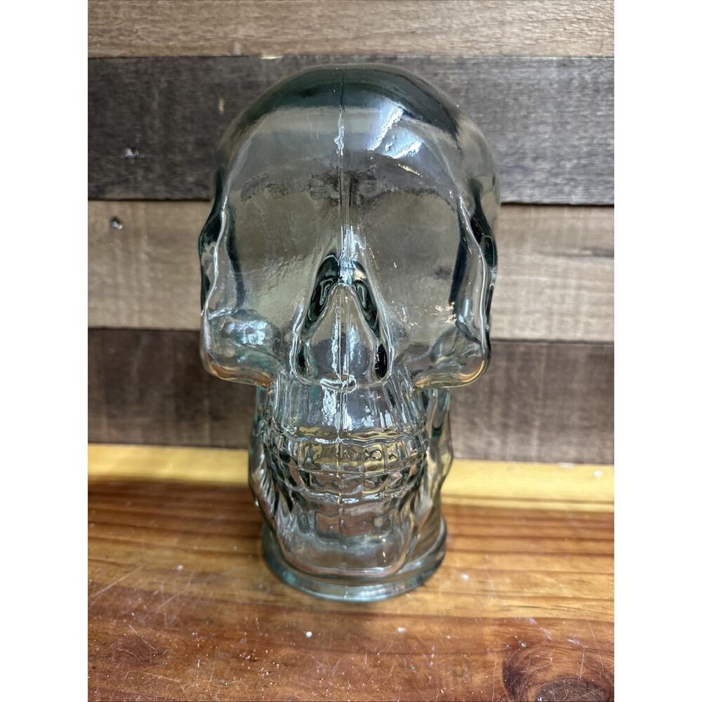 Vidrios San Miguel Human Head Skull Hand made in Spain Recycled Glass 10”
